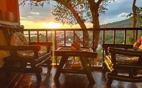 Purple Homestay