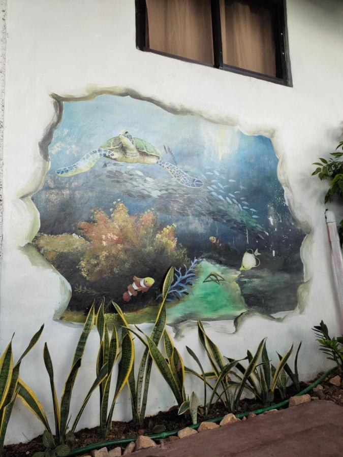 Purple Homestay Coron Extérieur photo