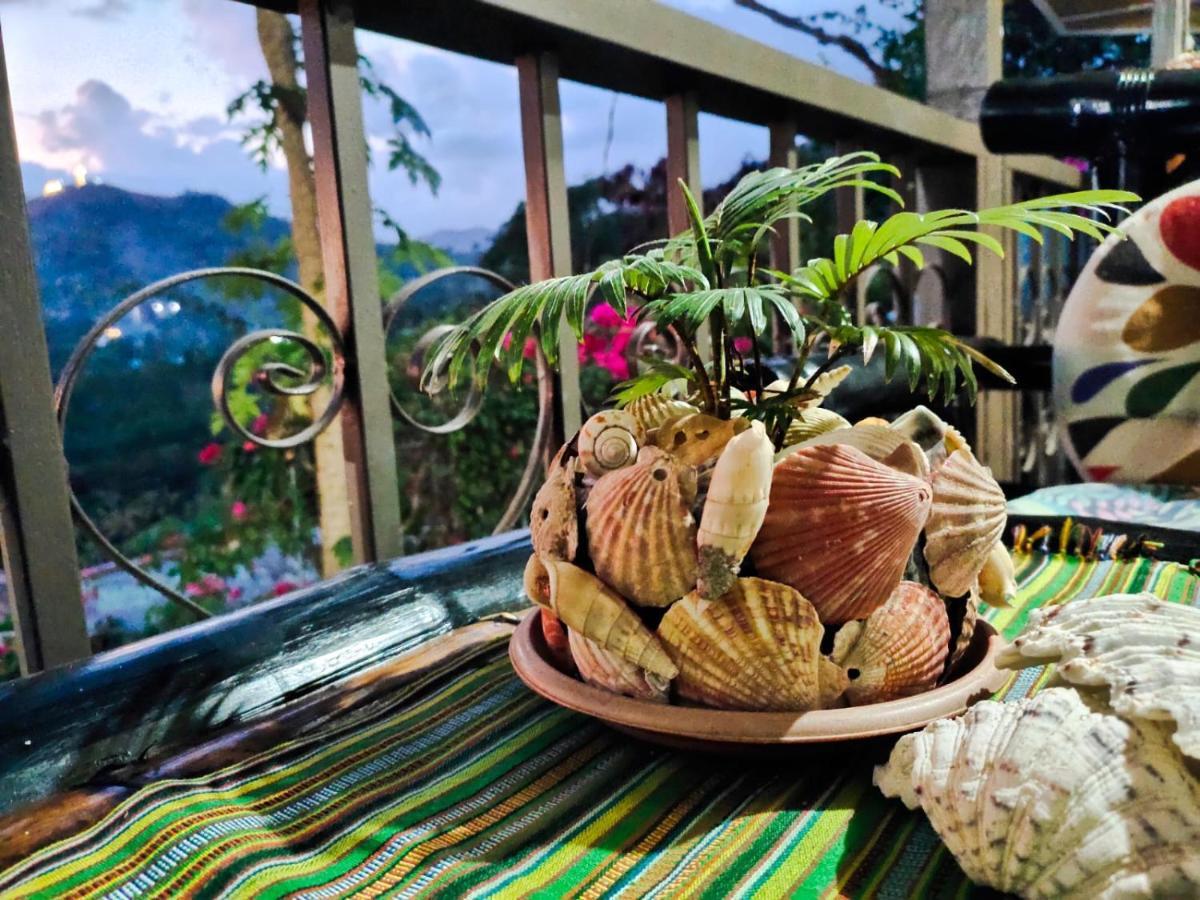 Purple Homestay Coron Extérieur photo